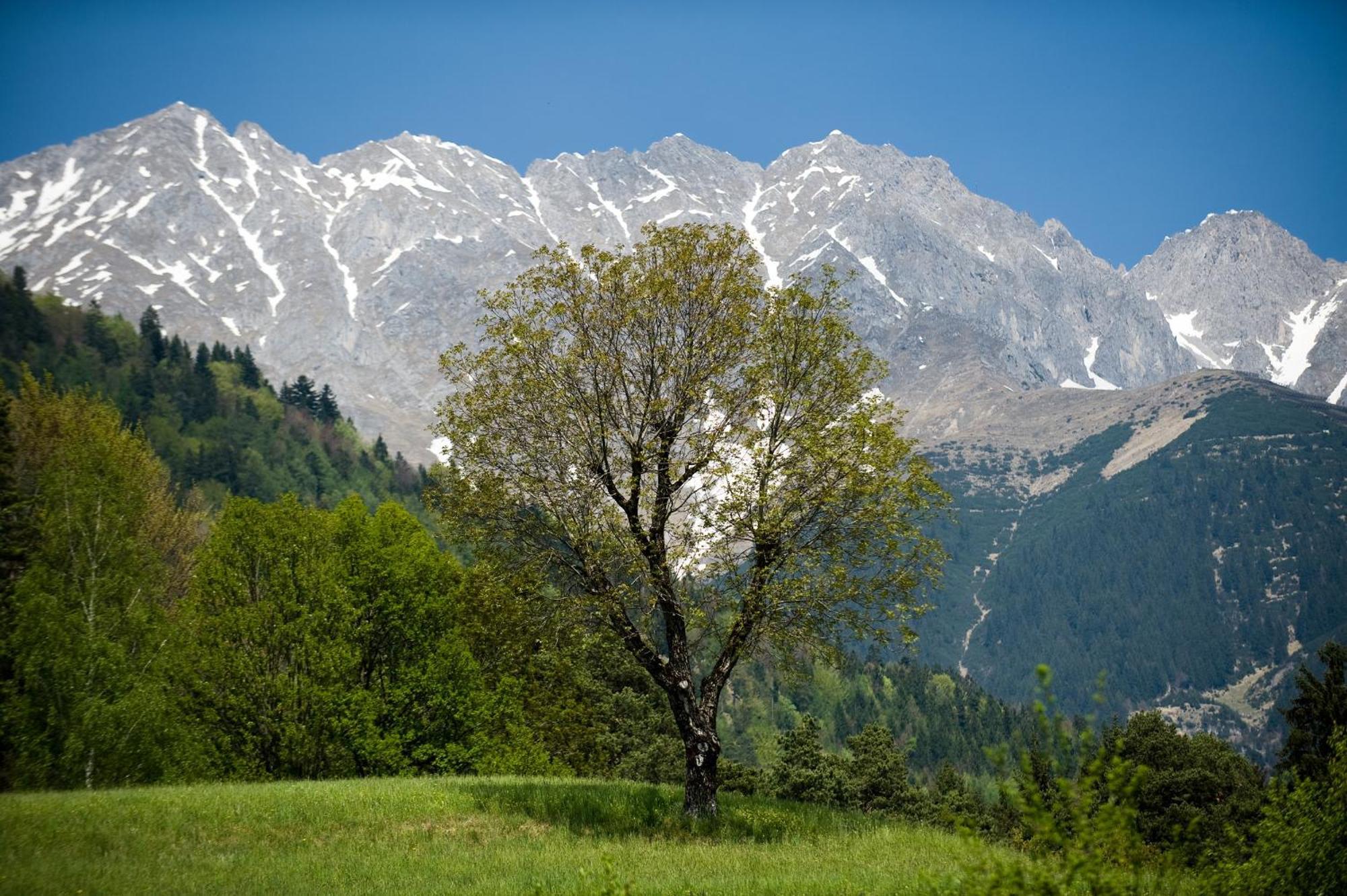"Innsbruck Moments" Kasperhof Appartements Exterior foto